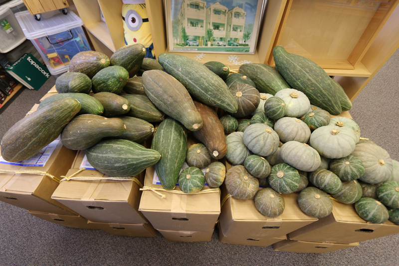 北海道から野菜が大量に届きました