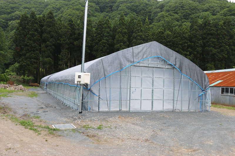 北海道ビニールハウス