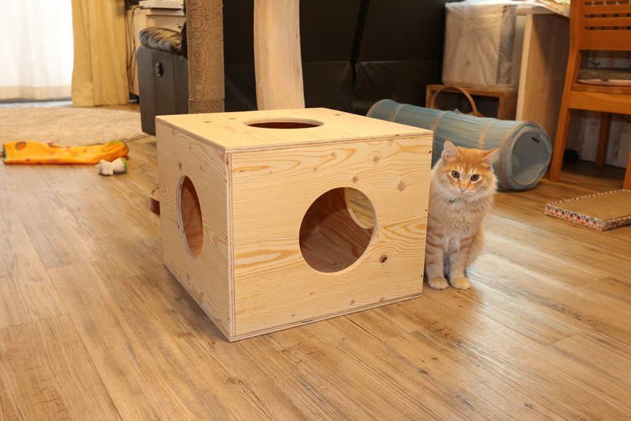 OB様よりご依頼：ネコの遊び場を造りました